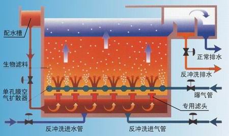 水处理工艺：曝气生物滤池工艺